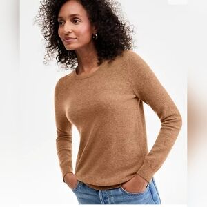 Charter Club Long-Sleeve 100% Cashmere Crewneck Sweater Plus Size XXL Brown